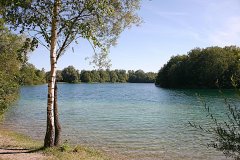 Grossansicht in neuem Fenster: Waldschwaigsee