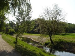 Ausgleichsfläche am Moosgraben